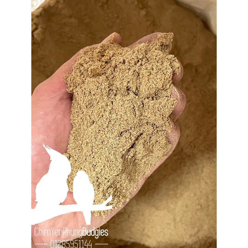 1KG cám xay ocialis tilaphi  thức ăn/làm mồi câu cho cá rô phi, diêu hồng, chép...