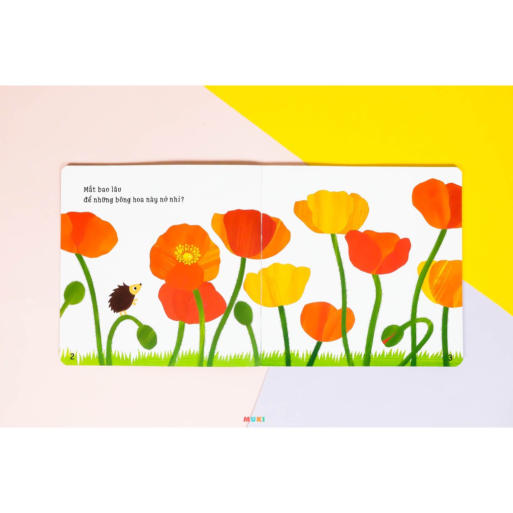 Sách Ehon Nhận Biết Acototo Bộ 4 cuốn | BigBuy360 - bigbuy360.vn