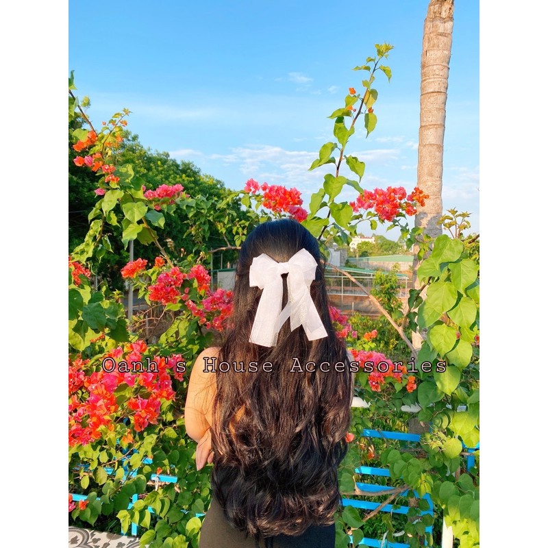 Kẹp nơ voan phối