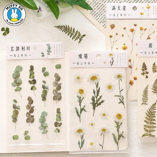 Bộ PET sticker HOA CỎ MÙA XUÂN