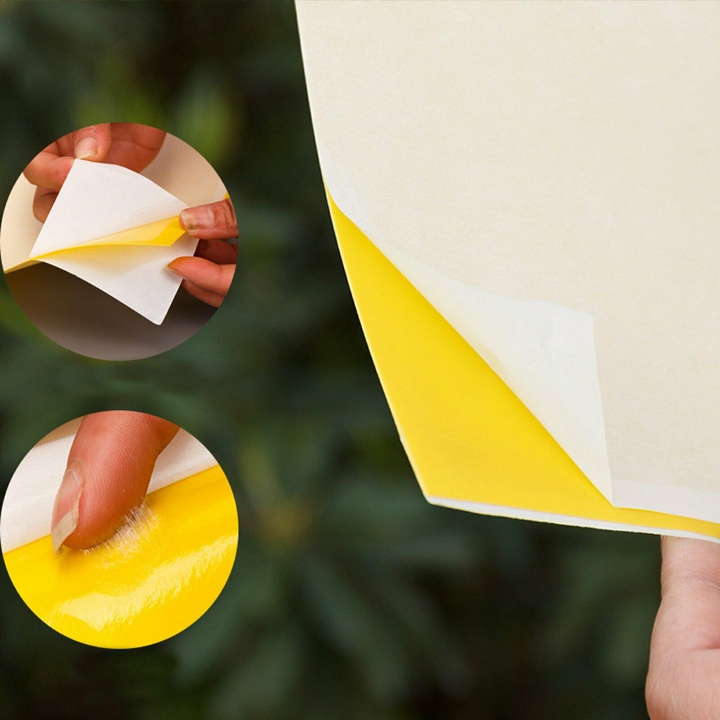 ☆Yarmai Yaa Yacao YOLA YOLA☆ Set 10 / 20 Cuộn Keo Dính Côn Trùng Tiện Dụng