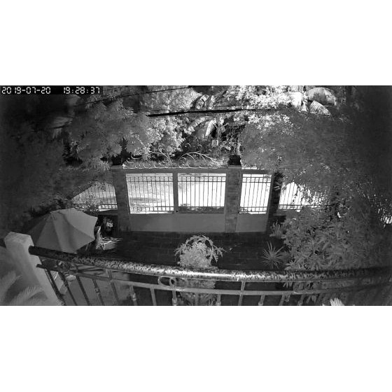 camera mini wifi v380 - 1080p, xoay 360 độ chính hãng - 100% tiếng việt - cảnh báo chuyển động   . | BigBuy360 - bigbuy360.vn