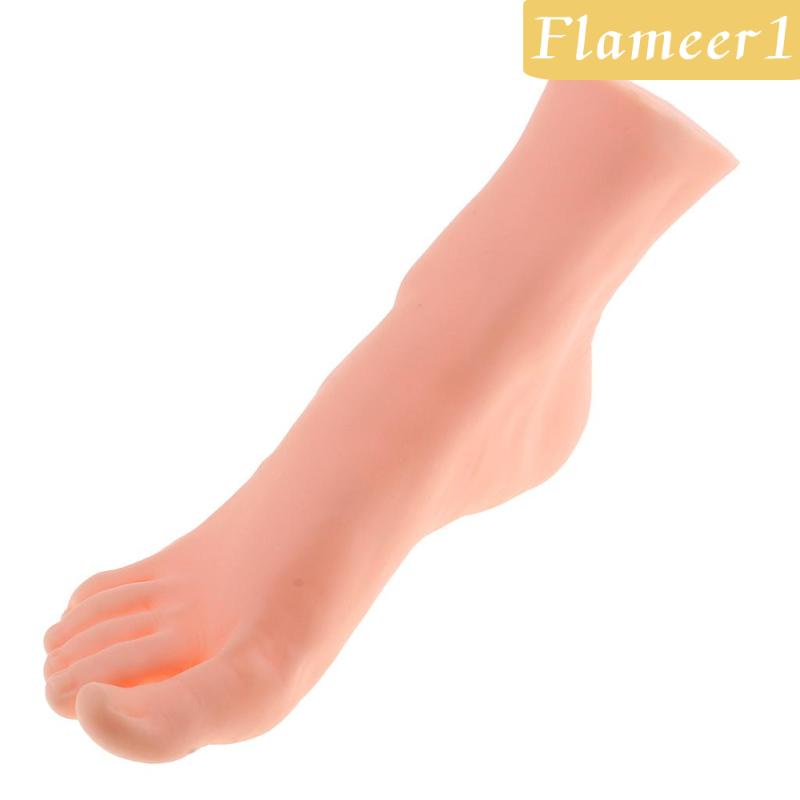 [Flameameer1] Chân Ma Nơ Canh Cao Su Trưng Bày Mô Hình Bàn Chân Phải Sống Động