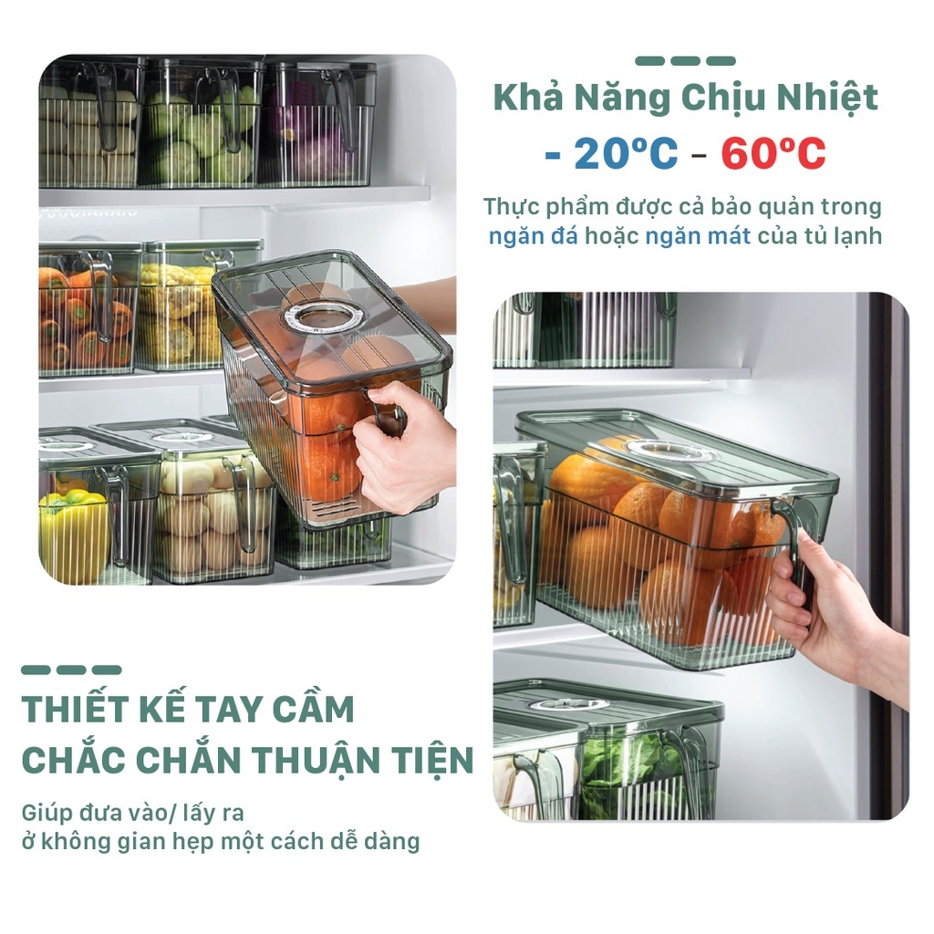 Hộp đựng thực phẩm tủ lạnh có ngăn tách nước, hộp đựng trái cây trong tủ  - Chất liệu cao cấp, an toàn sức khỏe