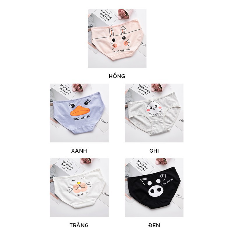 Quần lót nữ cotton rẻ đẹp cạp cao không đường may dễ thương màu hồng QL11