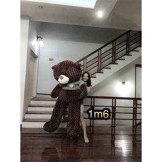 Gấu teddy 1m