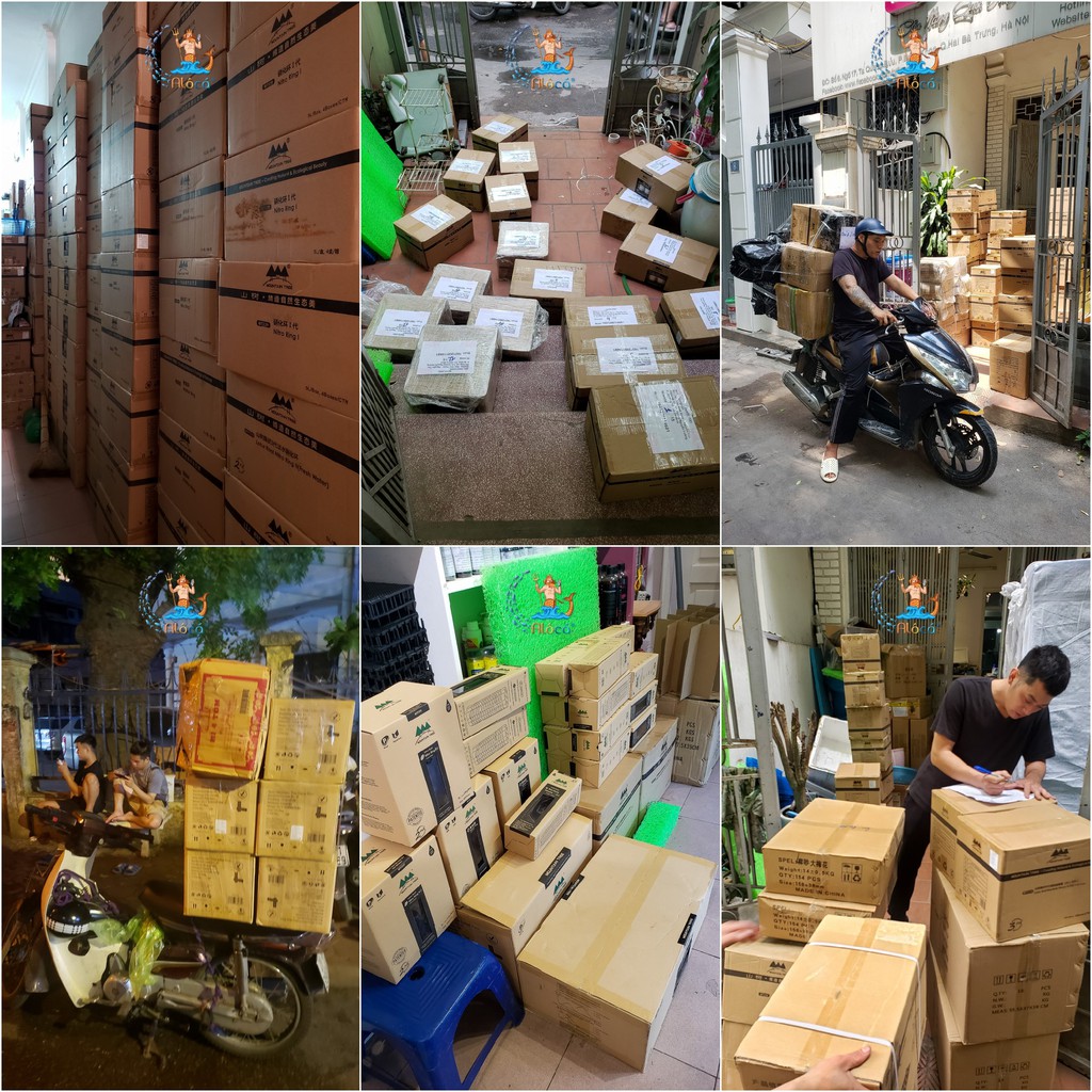 Túi 1L sứ lọc Mountain Tree Nitro Ring 2 củ sen cắt lát vật liệu lọc cao cấp khử NO2 nuôi vi sinh