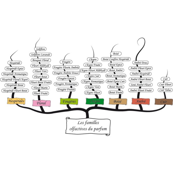 🔥 HOT - Fullset 🔥 Combo 5 vial mẫu thử nước hoa nam nữ Sephora Fragrance Sample Bag