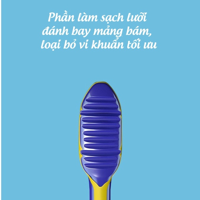 Bàn Chải Đánh Răng Trisa Flexible Head