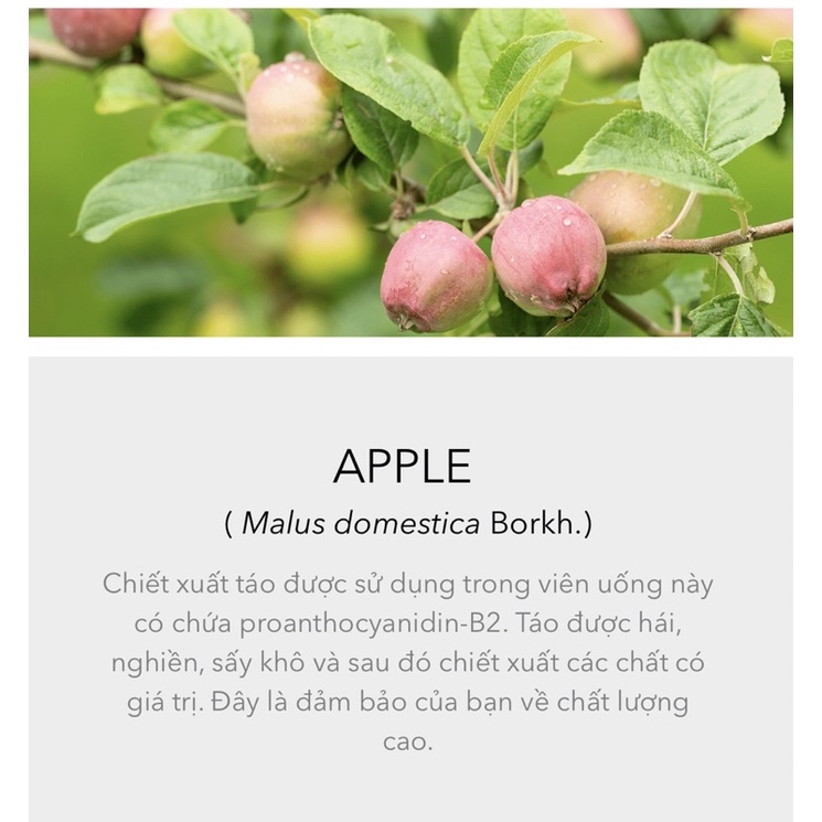 Viên Uống Hair Volume cho mái tóc chắc khỏe hộp 30 viên - THỤY ĐIỂN-HÀNG CTY CHÍNH HÃNG