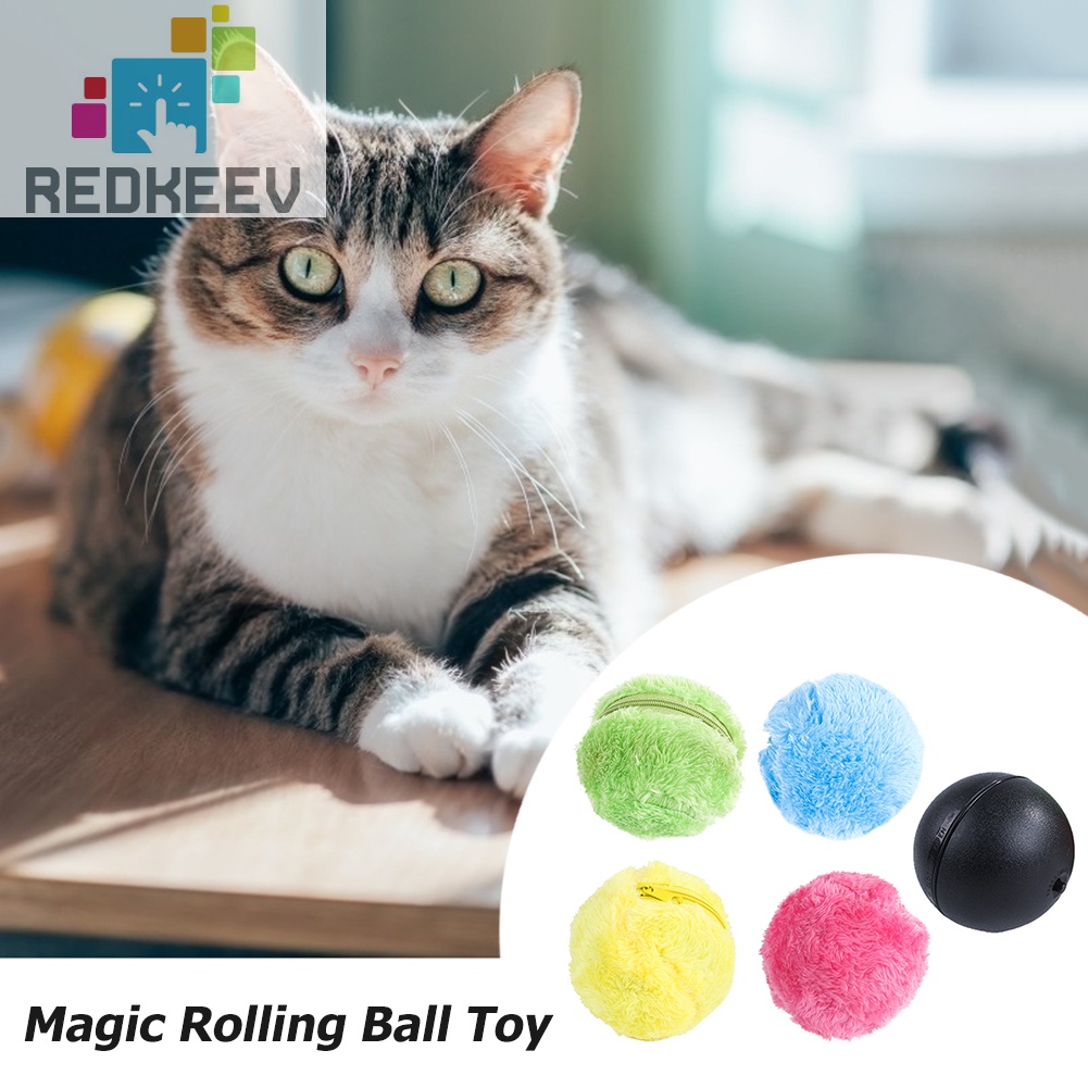 Set 5 quả bóng lăn tự động đồ chơi cho thú cưng