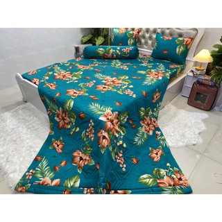 BỘ DRAP THUN HÀN QUỐC CAO CẤP 5 món ( 1 ga + 2 nằm + 1 ôm + 1 mền trần bông)