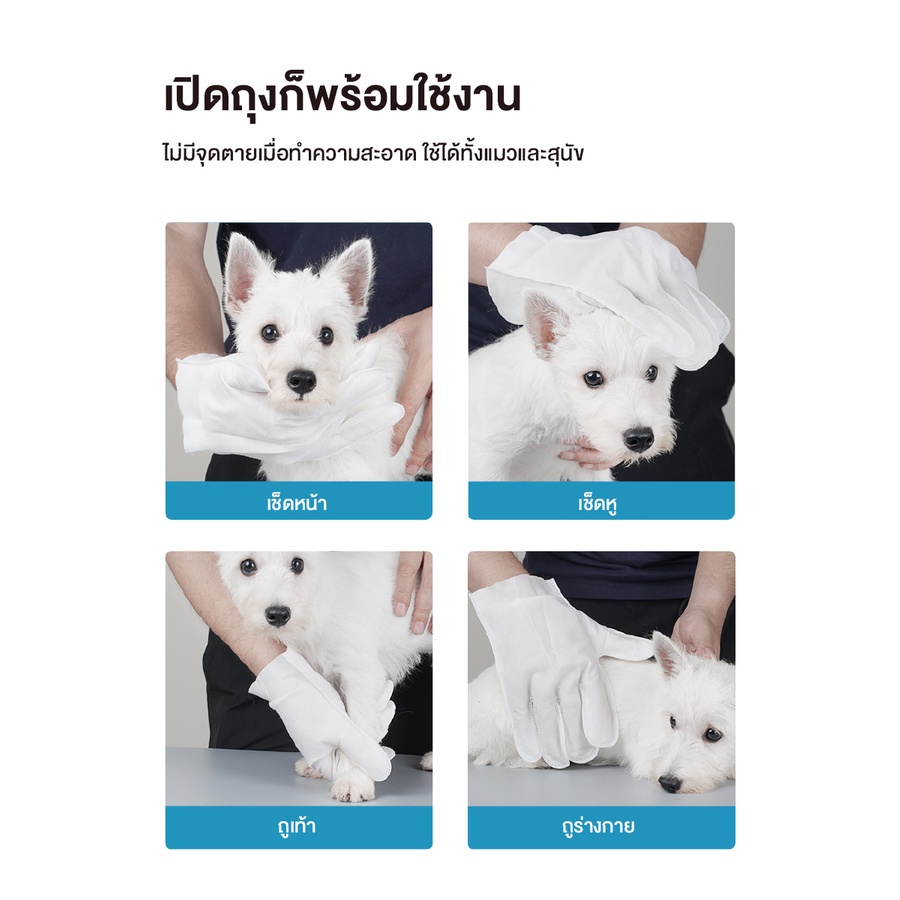 Bộ 6 cái găng tay Masti Li0290Dispo dùng để làm sạch khử mùi cho thú cưng