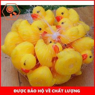 Vịt con thả bồn tắm cho bé – BẮC TỪ LIÊM