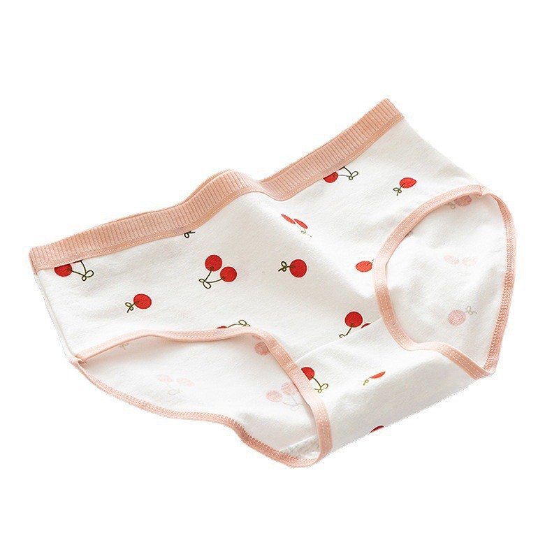 Quần chip cotton cho be gái 20kg 30kg 40kg  ☑️ quần lót trẻ em nữ