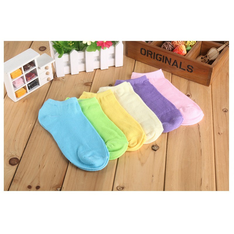 Vớ trơn cổ ngắn cotton siêu thoáng [Đơn 50k tặng kẹp tóc Hàn Quốc cực xinh]