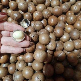 Macca nứt vỏ Tây Nguyên 1kg