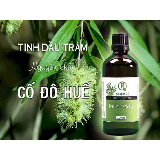 TINH DẦU TRÀM HUẾ - CAJEPUT OIL – 100 ML