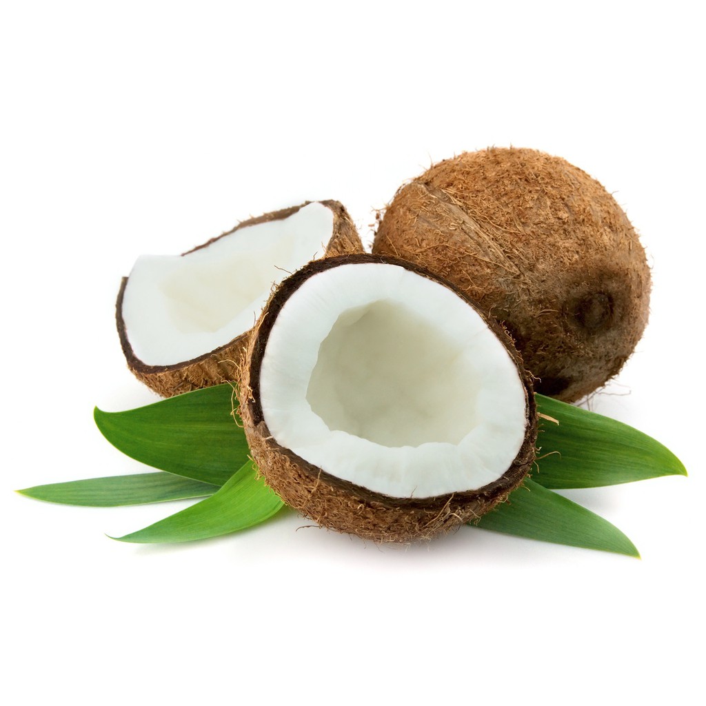 ✿✿✿Bột cốt dừa nguyên chất/coconut powder 50g✿✿✿