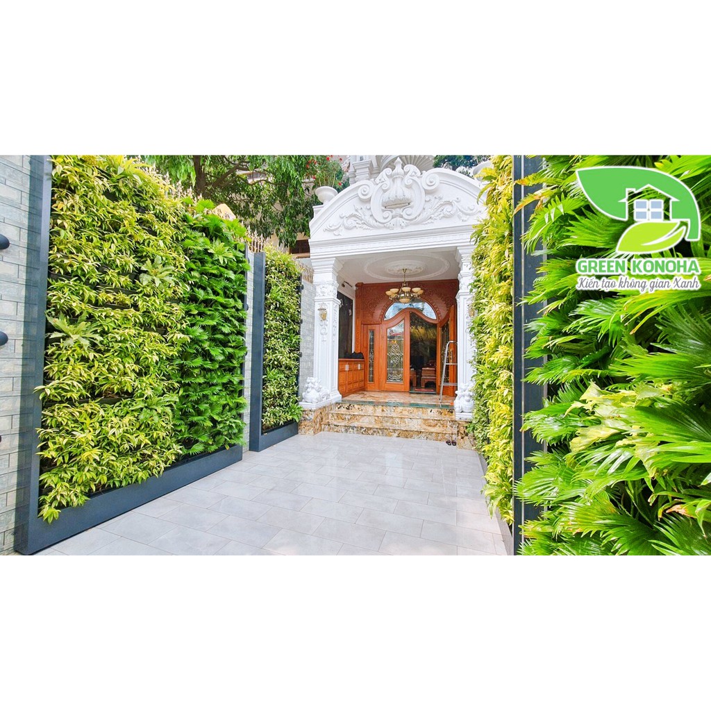 COMBO KHUNG CHẬU TRỒNG VƯỜN TƯỜNG TRỒNG RAU, TRỒNG HOA, TRỒNG CÂY GREEN KONOHA