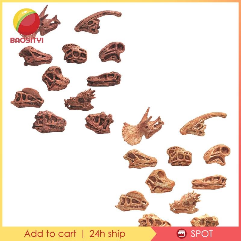 [Baosity1] Mô Hình Đầu Lâu Khủng Long Hóa Thạch Trang Trí Nội Thất Giảng Dạy