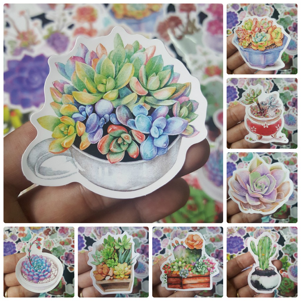 Bộ Sticker dán cao cấp chủ đề SEN ĐÁ SUCCULENTS - Dùng dán Xe, dán mũ bảo hiểm, dán Laptop...