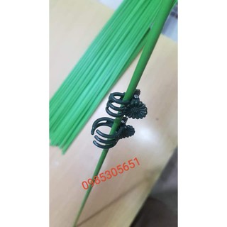 1 kg que cắm cố định lan