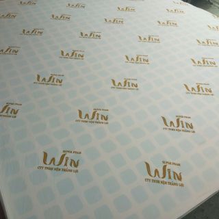 Nệm super win thắng lợi đặt kích thước