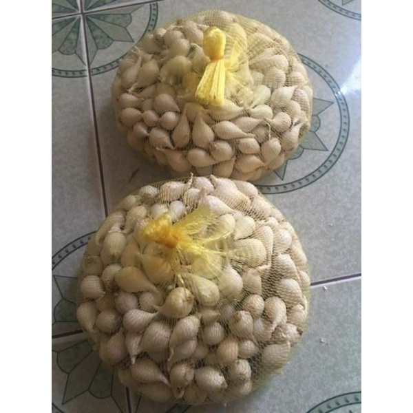 500g tỏi cô đơn Lý Sơn