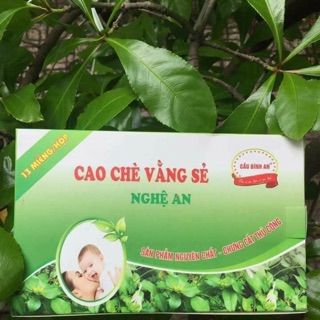 Cao chè vằng sẻ Nghệ An