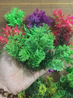 Bộ 4 cây nhựa trang trí bể cá