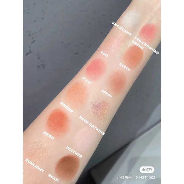 Bảng Phấn Mắt Perfect Diary Bảng màu Animal Red Fox Palette Mười Hai Màu Đỏ Hottrend Thu Đông 2021 | BigBuy360 - bigbuy360.vn