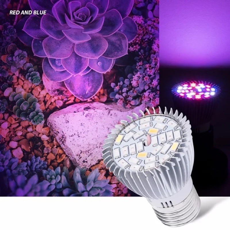 ĐÈN LED QUANG PHỔ TRỒNG CÂY TRONG NHÀ CHUYÊN DỤNG ĐỦ MỌI LOẠI