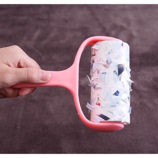 Cây Lăn Bụi Đa Năng Tiện Ích Gia Đình