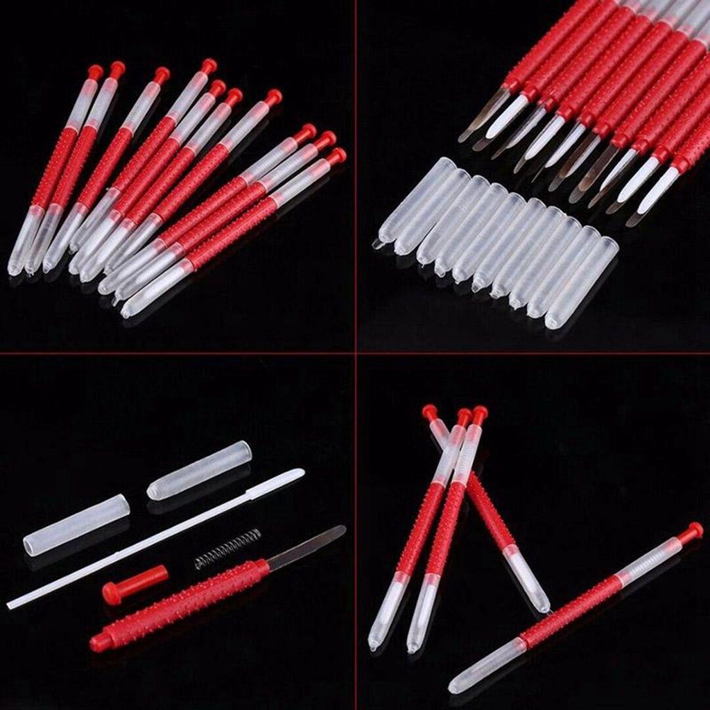 Set 10 Dụng Cụ Ghép Ong Chúa Côn Trùng
