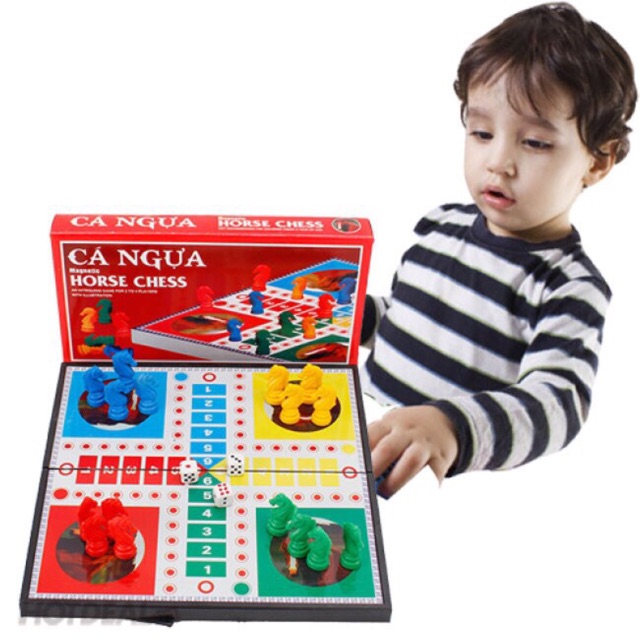 Bộ cờ cá ngựa cao cấp nam châm  không bị xô khi chơi