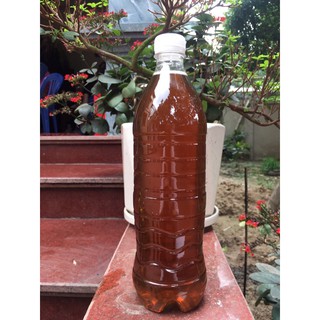 Mật ong nhãn nguyên chất 100%