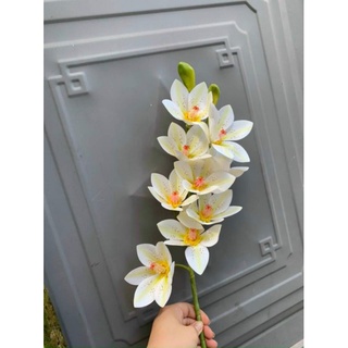 Hoa giả - hoa địa lan cao su