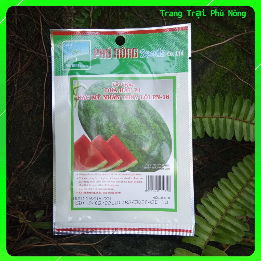 Hạt Giống Dưa Hấu F1 Hắc Mỹ Nhân Thủy Lôi PN-18 Phú Nông - Gói 1g