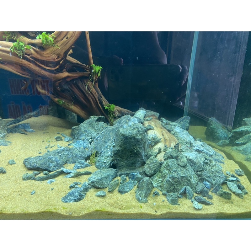 Đá nham xanh set bể thuy sinh, bán cạn 1kg