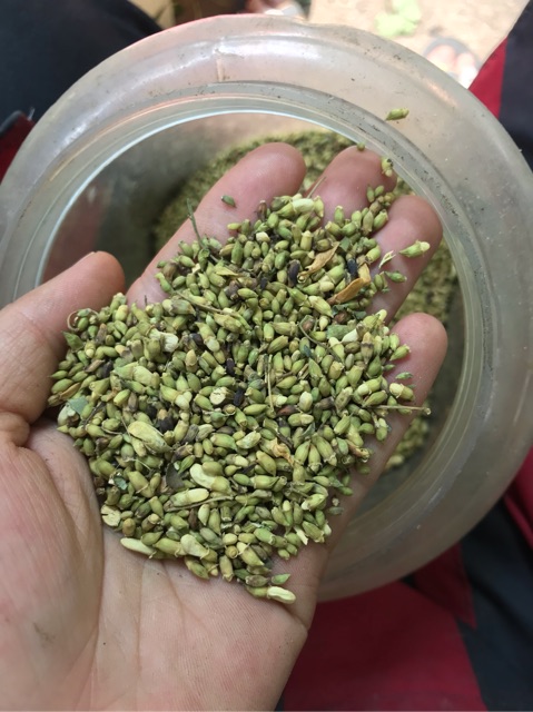 Hoa hoè (100gram)