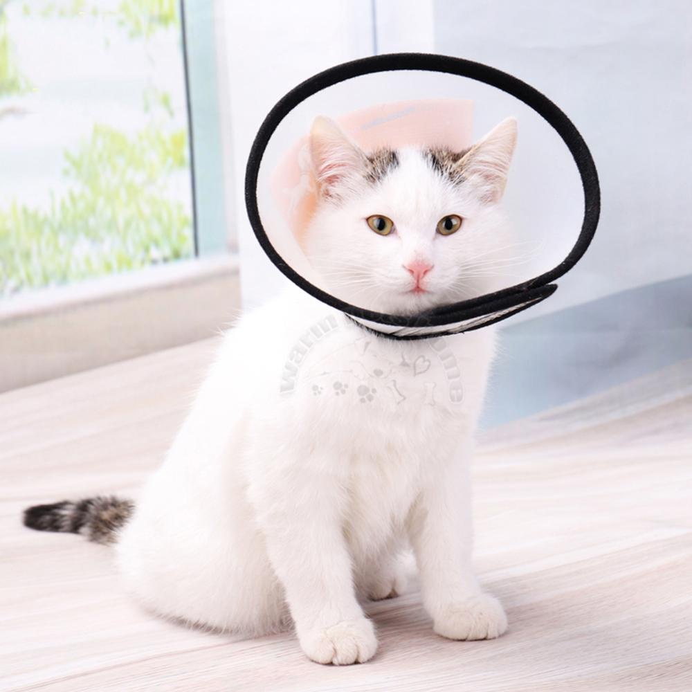 Vòng Cổ Hình Nón Chống Cắn Có Thể Điều Chỉnh Kích Cỡ LAYOR1 Cho Thú Cưng