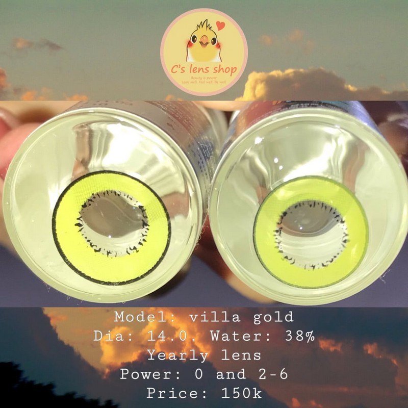 < CÓ SẴN > Lens mẫu VILLA màu Gold có cận 0-8 [ KHÔNG BÁN LỆCH ĐỘ ]