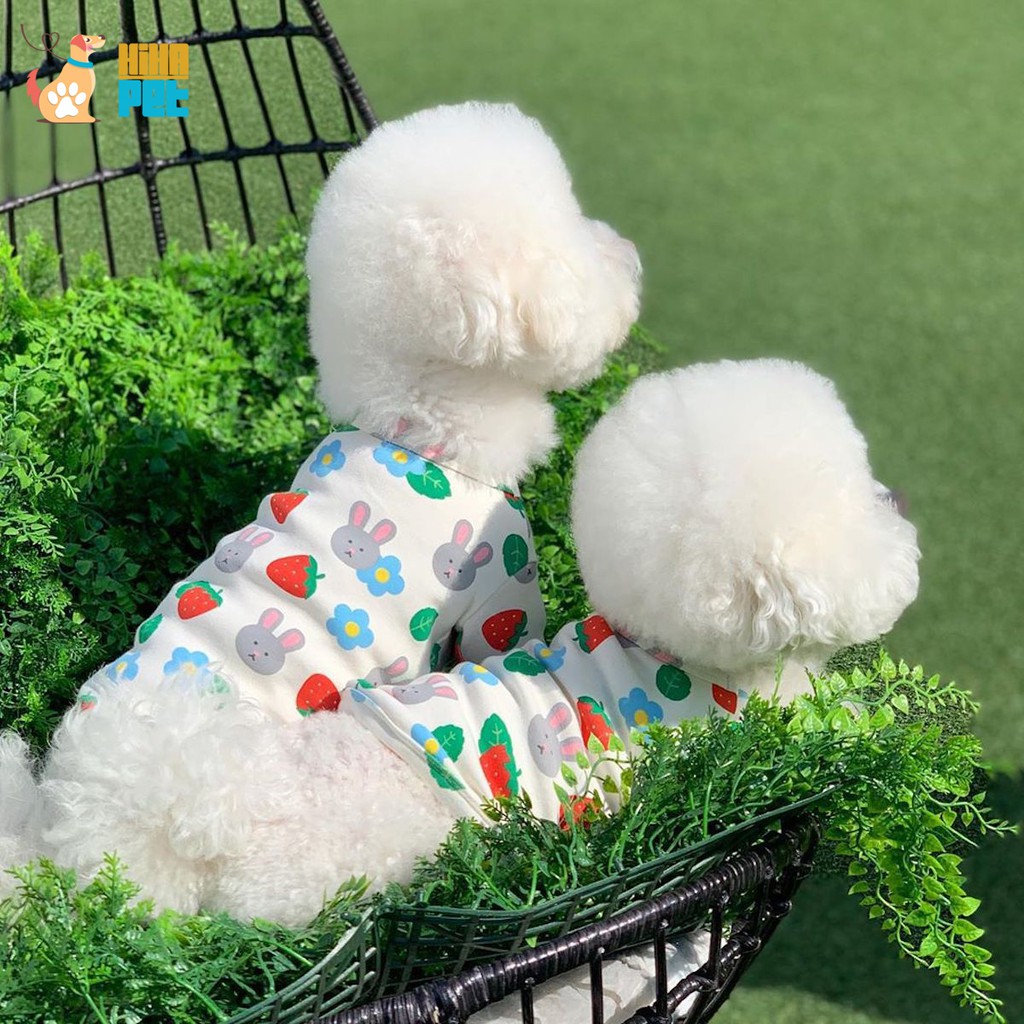Áo Thun Ba Lỗ Hình Trái Dâu Thỏ Cho Chó Mèo Hàn Quốc Quần Áo Thú Cưng Cao Cấp Hihapet.