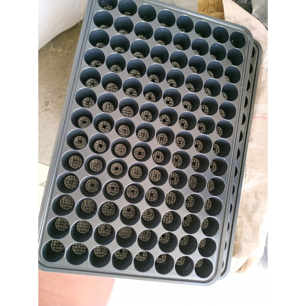 5 Vĩ nhựa ươm cây trồng sen đá tiện dụng (104 lỗ mỗi vĩ)