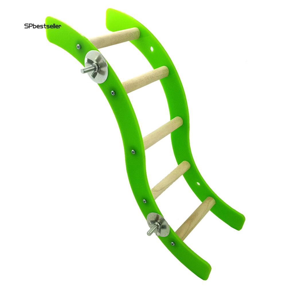 Cầu thang gợn sóng bằng nhựa acrylic gắn lồng vẹt đầy tiện lợi