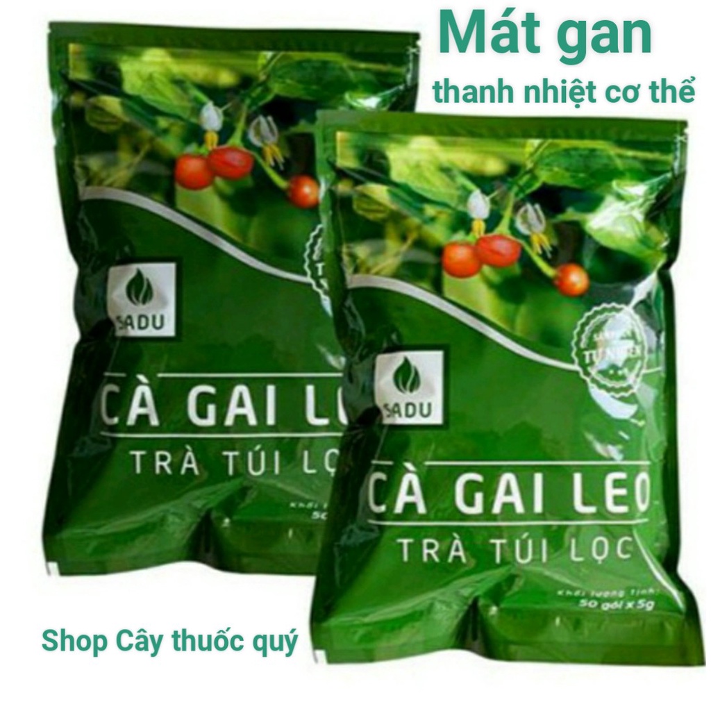 2 bịch 250g trà cà gai leo túi lọc Sadu ( nửa kg ) mát ganthải độc gan