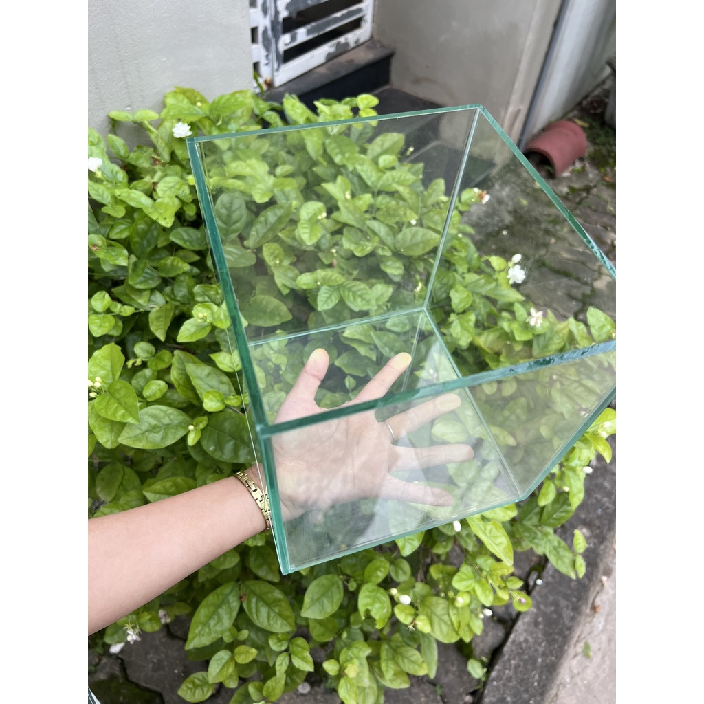 Hồ cá, bể cá cảnh , Bể cá thủy sinh hình lập phương Tặng kèm đá và cây