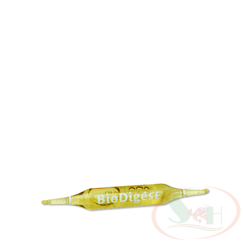 Vi sinh sống Prodibio BioDigest 1 ống cao cấp xử lý nước bể cá tép thủy sinh