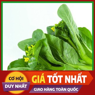 Hạt giống Cải Ngồng - rau ăn lá ngắn ngày